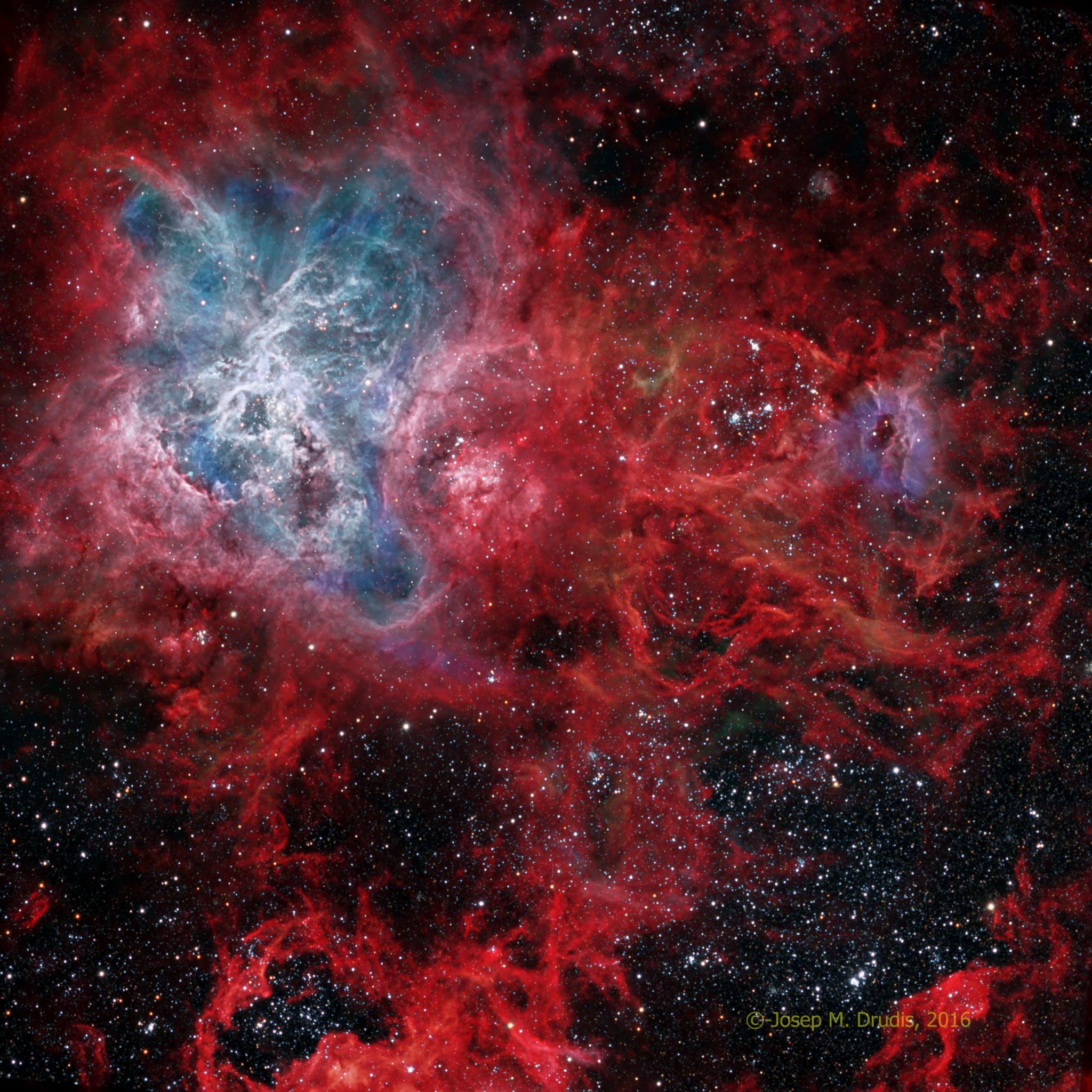 The Cosmic Web of the Tarantula Nebula 
